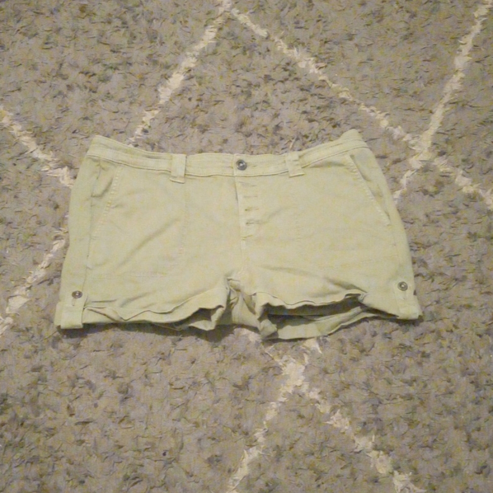Torrid shorts